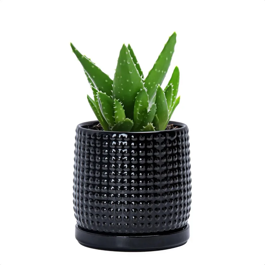 

4 Inch Ceramic Beaded Stoneware Planter Pot with Drainage Holes and Saucers for Indoor Succulent Plants or Flowers Glossy Black