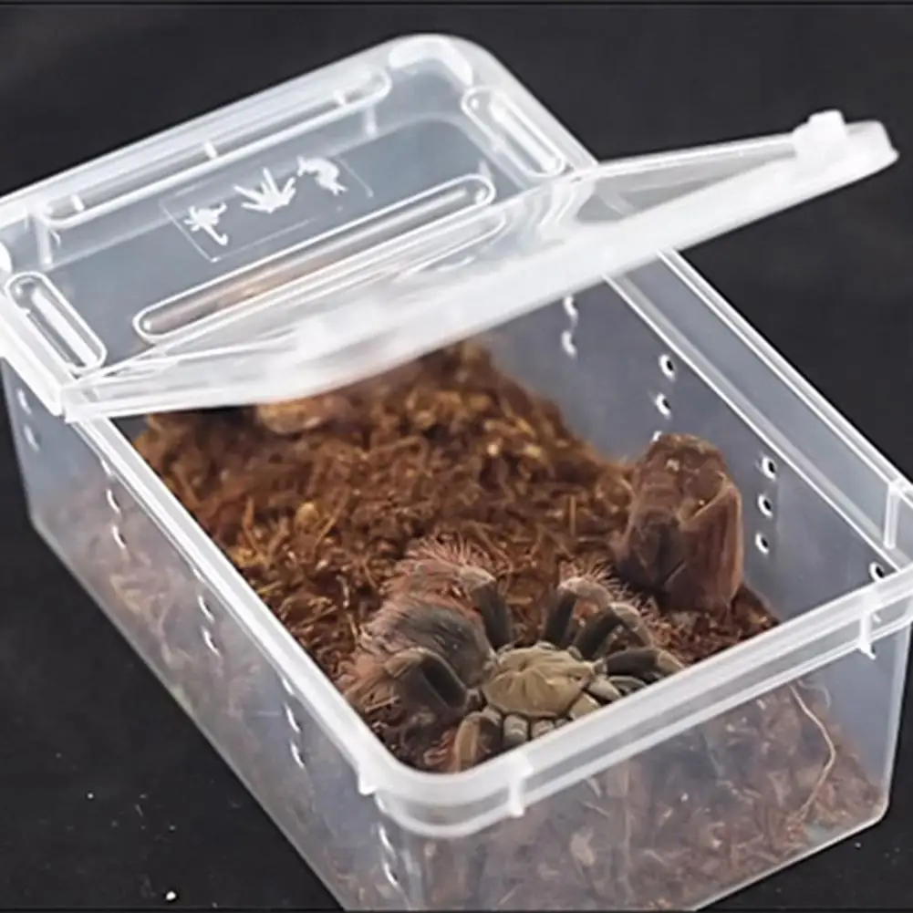 Small Pet Reptiles Living Box Reptile Terrarium Habitat Scorpion Spider Ants Lizard Breeding Case Hatching Container Rearing Box