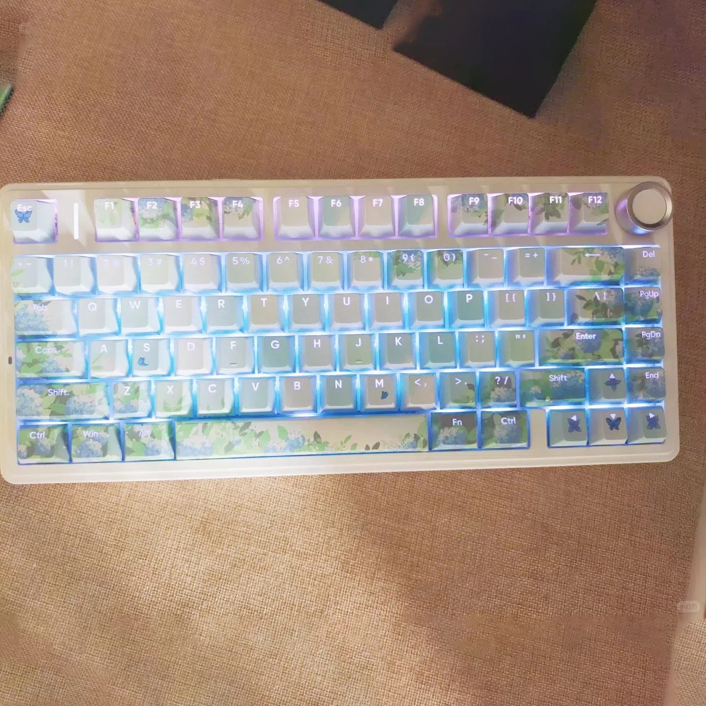 

133 Keys Top/Side Print Shine Through Keycaps Cherry Profile Eternal Summer Dye Sub PBT Keycaps for Gateron MX Swtches Keyboards