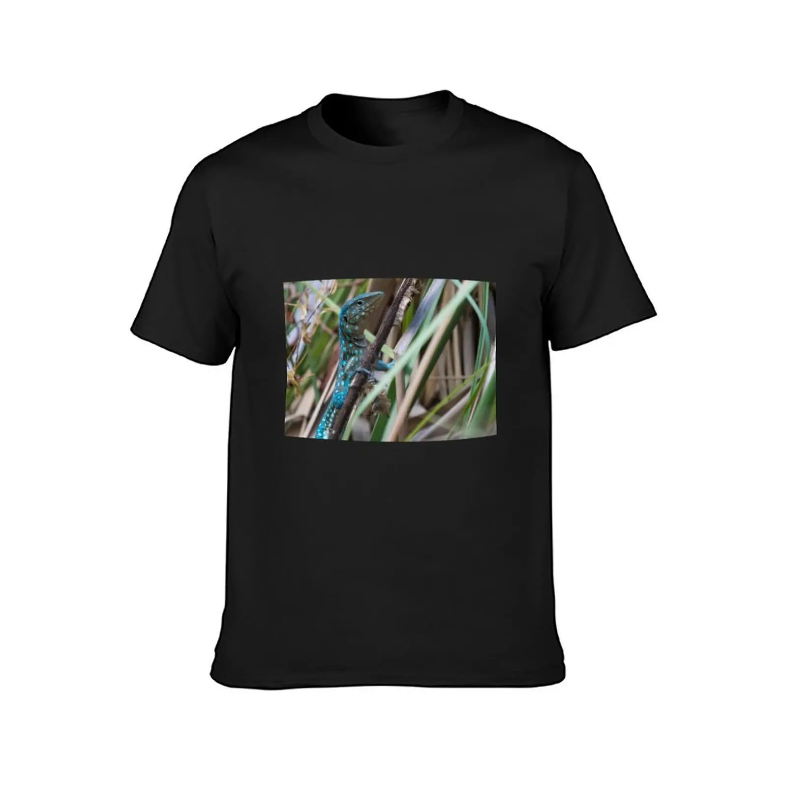 Aruban Whiptail Lizard T-Shirt aesthetic clothes for a boy summer clothes Men's clothing