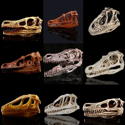 Resin Dinosaur Head Skull Skeleton Sculpture Craft Animal Fossil Statues Halloween Gift Prop Zoo Specimen Display for Home Decor