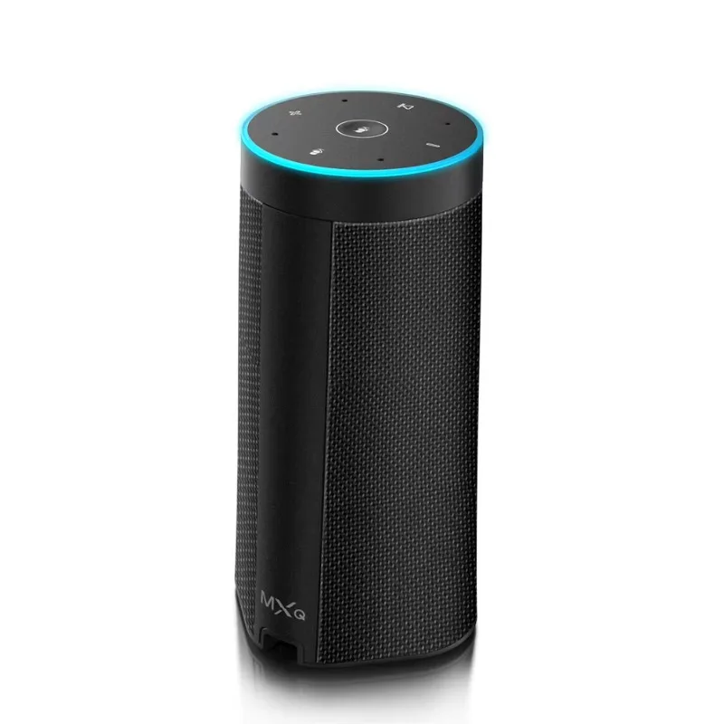 HF30 Alexa Speaker with Microphone BT High Quality Smart WiFi Speaker ECHO