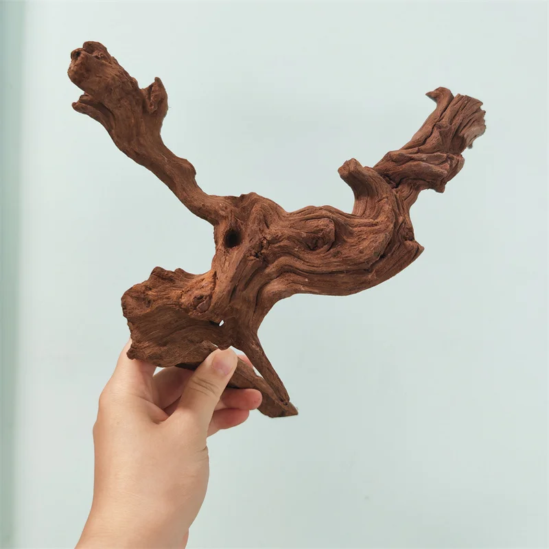 5/20/30CM driftwood home décor Coral wood Climber Reptile Lizard Cork Pet Decoration Drift Wood Fish Tank Driftwood Natural Tree