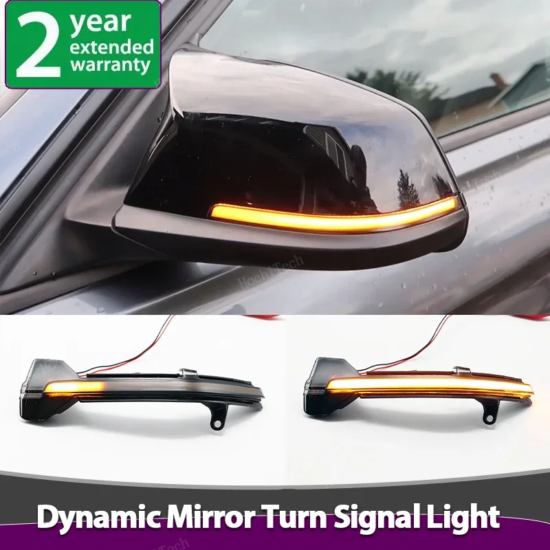 Dynamic Blinker Turn Signal Light Side Mirror Indicator LED Flashing Light for BMW 5 6 7 Series F10 F11 F07 F06 F12 F13 F01