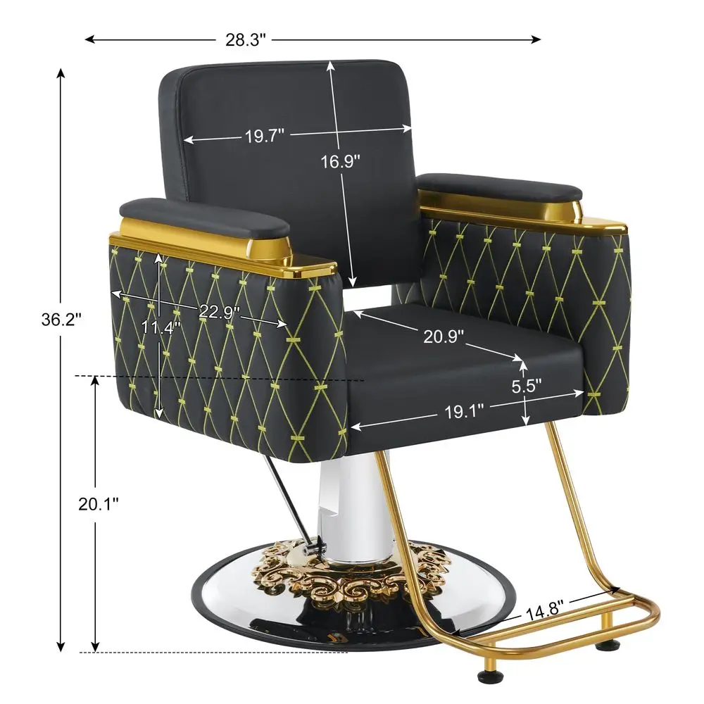 

Luxurious Salon Chair, Height Adjustable BlackampGold Salon Beauty Spa Styling Equipment, 440lbs Hydraulic Pump for Hair Stylis