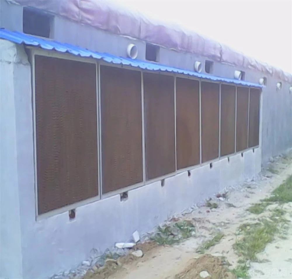 Kipapparatuur Dierenvoer Gevogelte en visvoer Pelletmachine