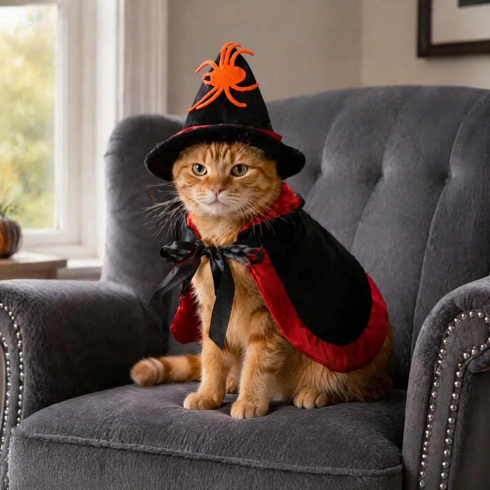 Pet Halloween Costume Dog Hat Cloak Halloween Cat Witch Costume Set Black Moon Star Cloak Pointed Hat Festive Pet for Small