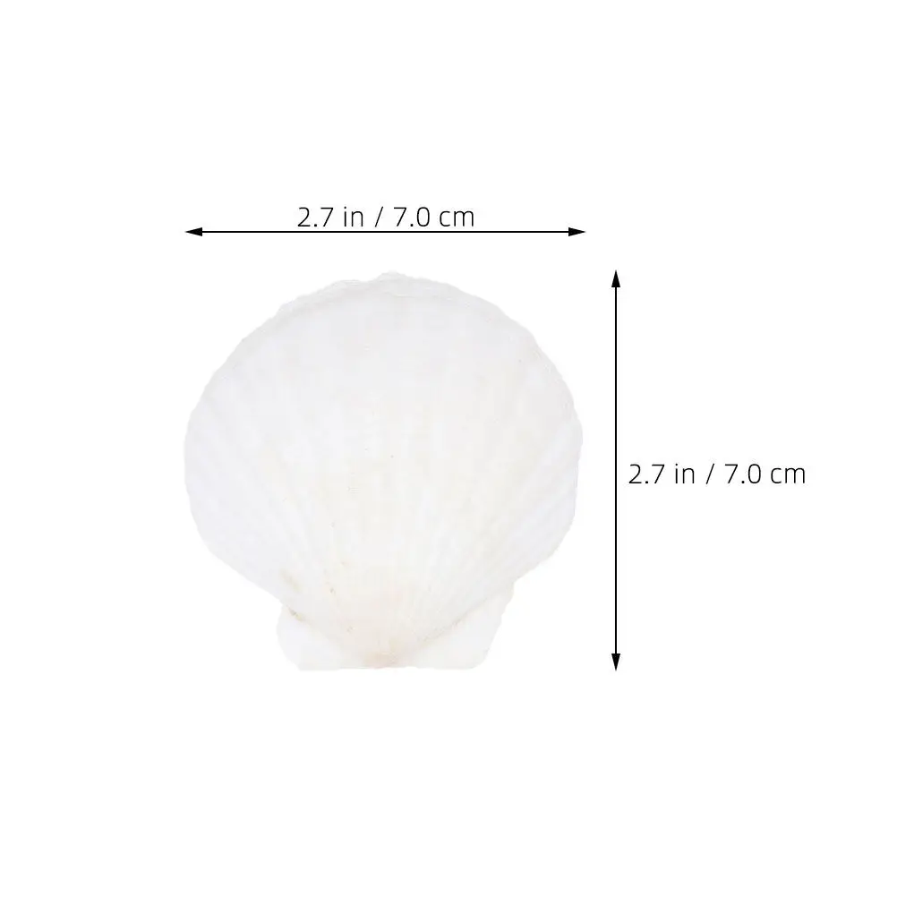 35pcs Shell Decoration Set White Natural Seashell Ornaments for Home DIY Crafts Wall Art Table Centerpieces Bulk Scallop Shells