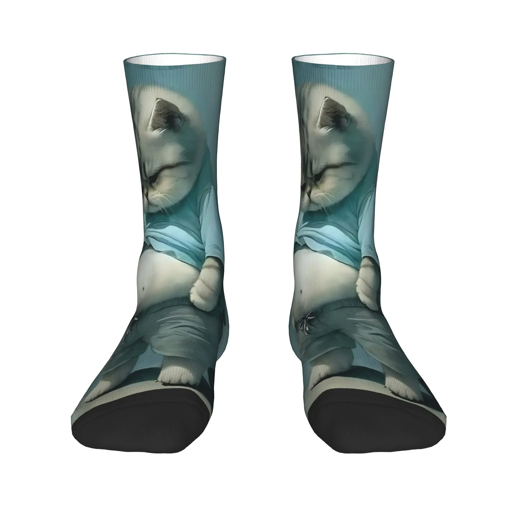 Cute Fat Cat Graphics Socks  Kawaii Stockings Winter Anti Skid Men's Socks Medium Soft Graphic Climbing Socks