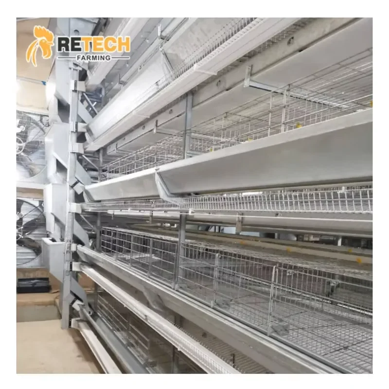 

Automatic Chicken House for H Type Laying Hens Egg Cages for Sale
