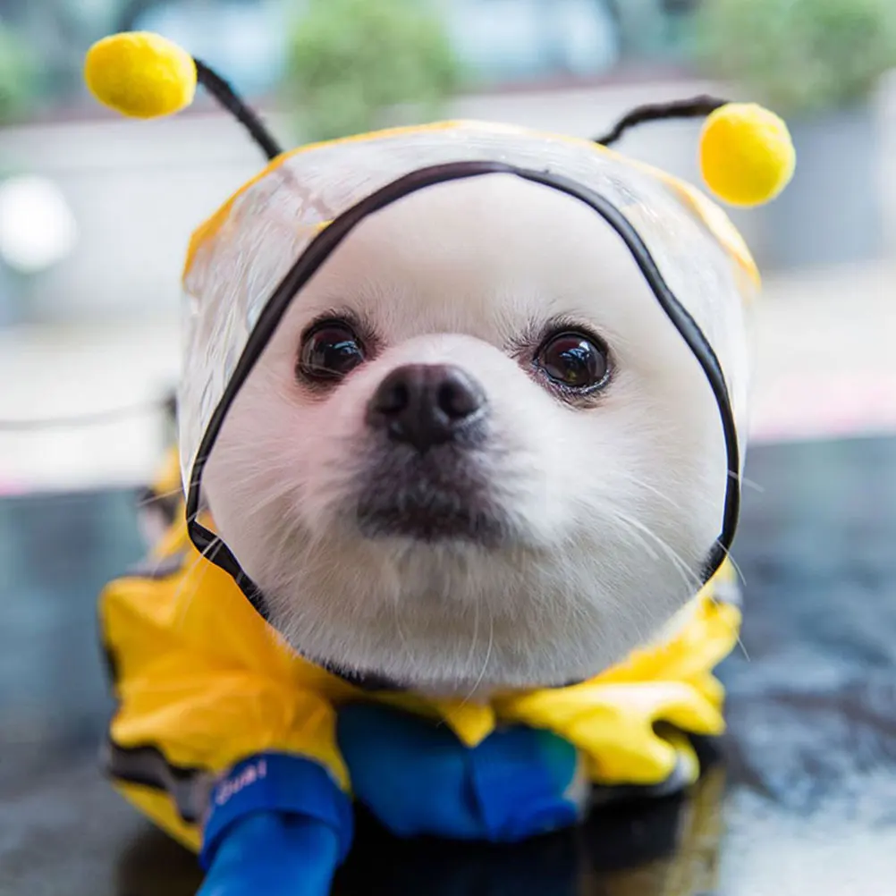 

Pet Rain Coat Jacket for Dogs Waterproof Unique Raincoat Gear Raincoats Cloth Hood