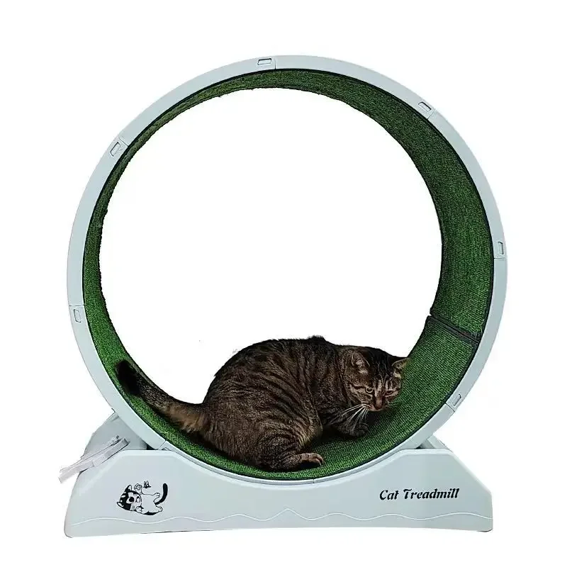 Cat treadmill safety lock stable load bearing circular cycle silent track design carefully polished