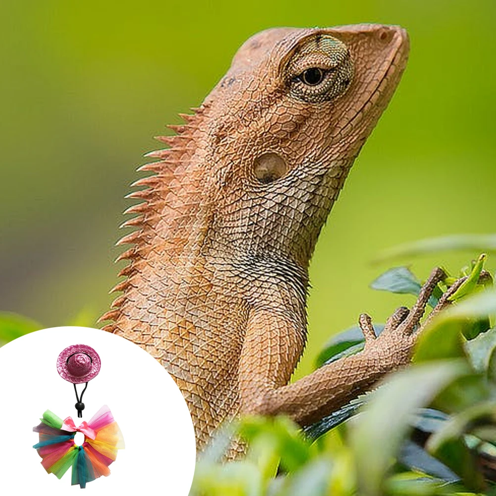 

1 set 1 Set Decorative Lizard Costume Skirt Hat Kit For Party Festival Photo Props Chameleons Accessories Bearded Dragon Outfit