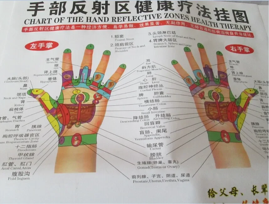 Human meridian Hand foot Visceral anatomical location map Scrapping acu-points wall diagram acupuncture reflective zones chart