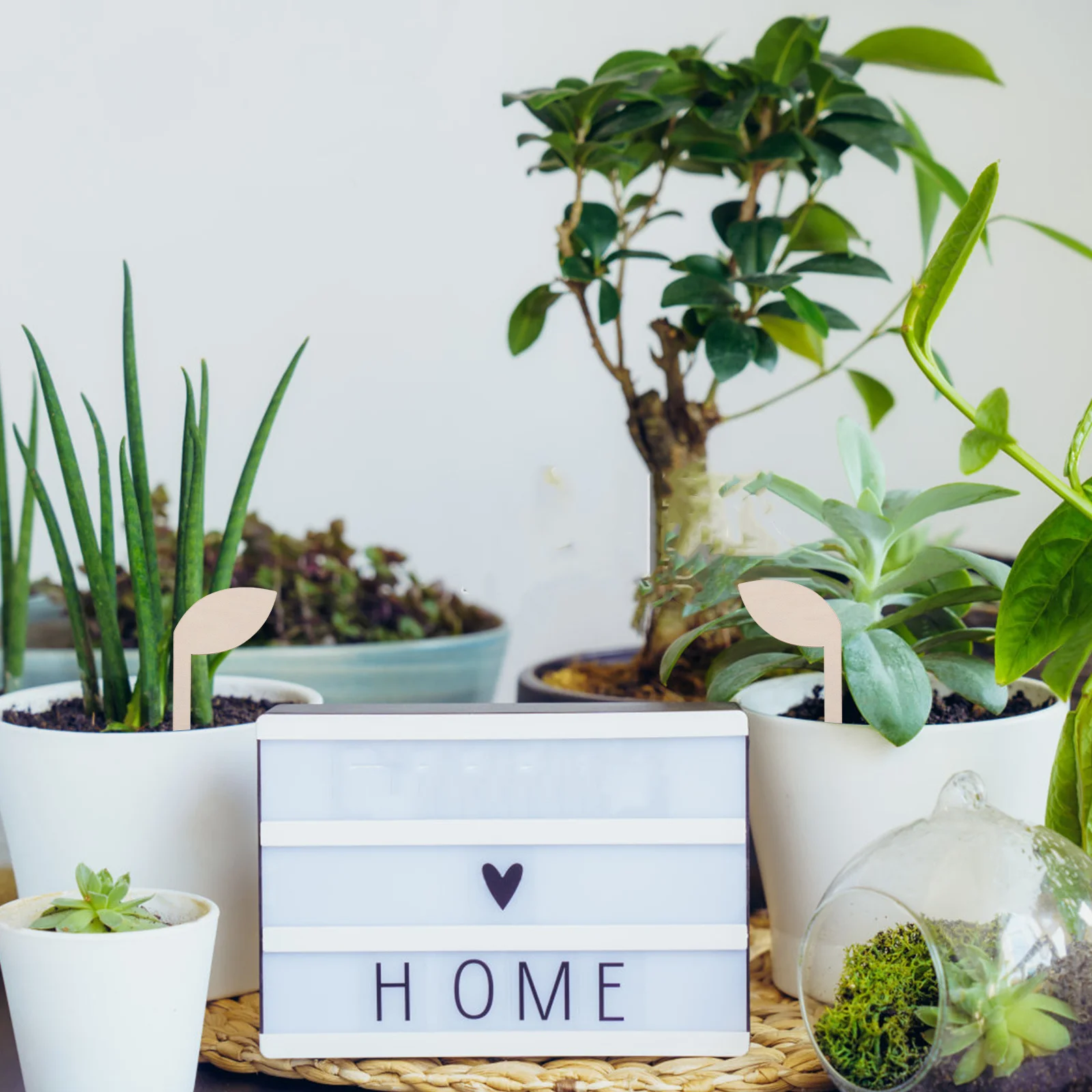 

80Pcs Garden Plant Labels Wooden Mini Markers for Potted Plants Succulents Cactus Flower Tags Garden Labels Plant Tags