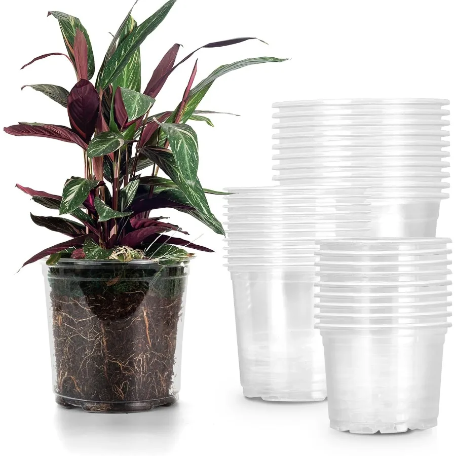 30 عبوة من 5 6 7 بوصة أوعية الحضانة المقواة مع فتحات الصرف أوعية نباتات بلاستيكية شفافة للشتلات ومبتدئين البذور الشفافة #1