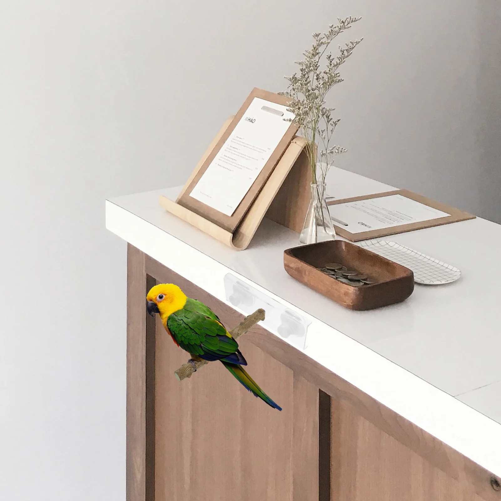 

Portable Perch Stick For Small Birds Parrot Bird Climbing Suction Cup Mount Play Stand Rod Claw Grinding Pole Cage Pet