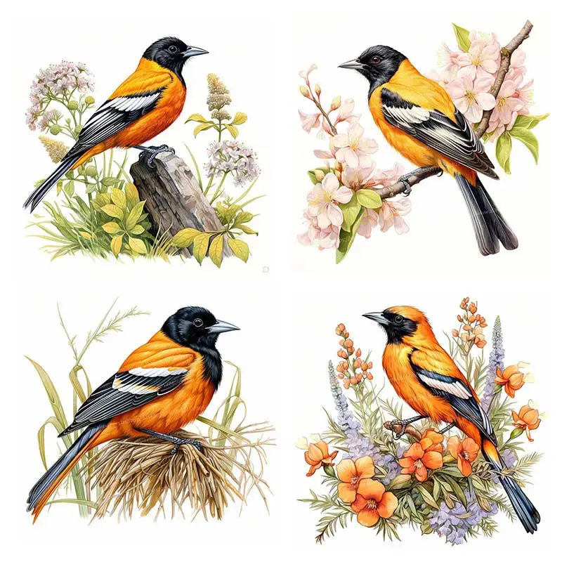 Colorful Oriole Watercolor Bird Wall Sticker Bathroom Living Room Background Decorations Wallpaper Creative Animal Stickers M850