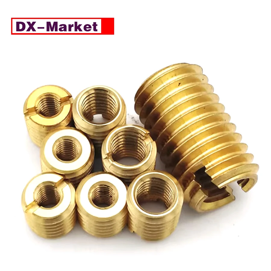 

Brass Thread Conversion Insert Nut ,B070