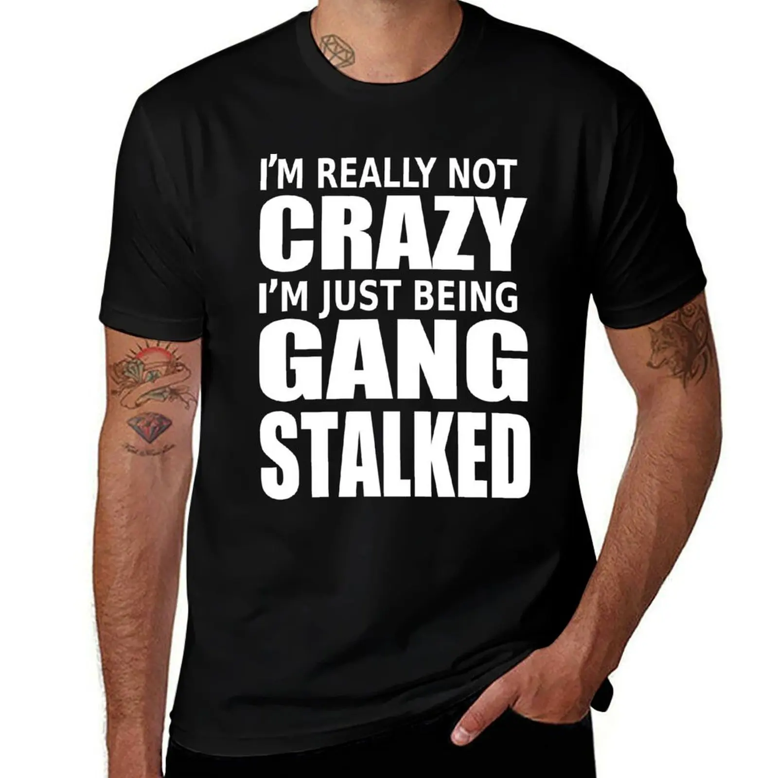 

i`m really not crazy,gang stalker T-Shirt t shirt for man anime t shirts oversize T-Shirt
