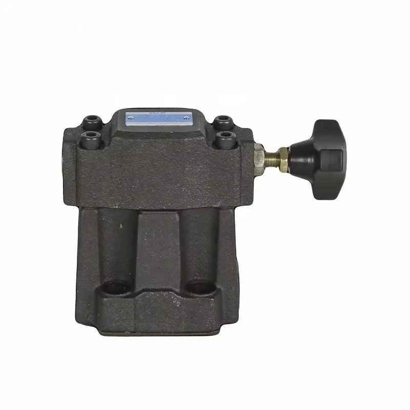 Hydraulic Solenoid Proportional Pressure Control Valve S-BSG-3/6/10 Series Replacement Parts Suitable For Yuken System