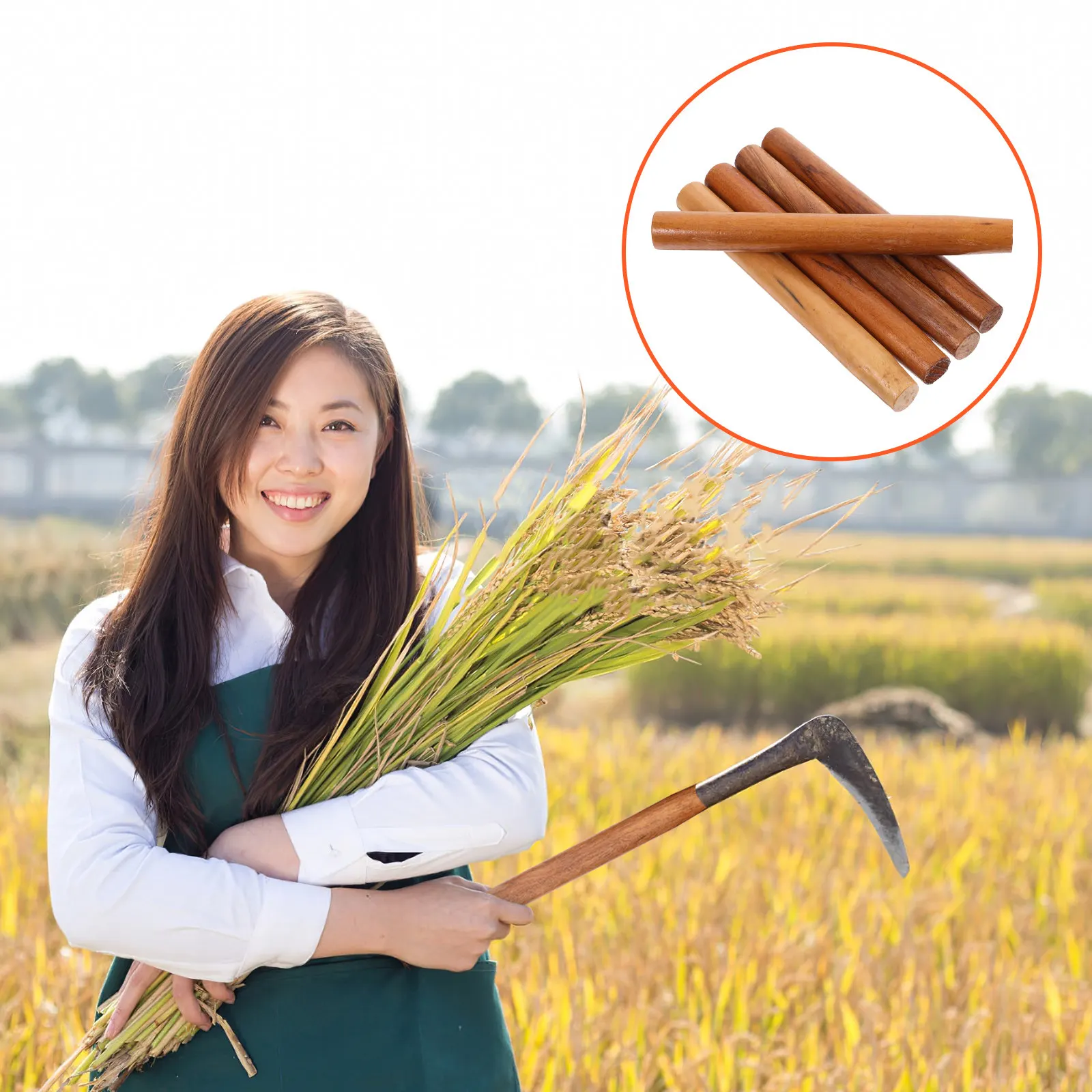 5Pcs Premium Hardwood Handle Replacement 30Cm Comfort Grip Ergonomic Natural Grain for Garden Shovel Hoe Tool