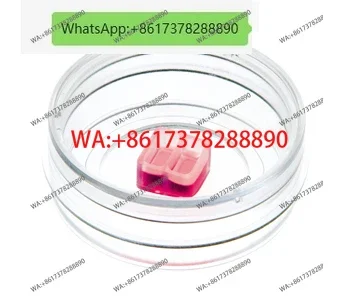 Germany IBIDI scratch test 81176 35mm high wall wound healing test dish (2 holes)