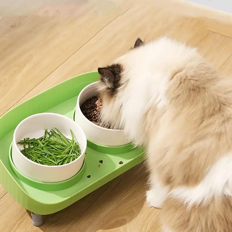 Tilted Raised Cat Food Bowls Pet Food And Water Bowls Feeder Bowls Ergonomic Stress-Free Pet Feeder Dish Raised Cat Bowls