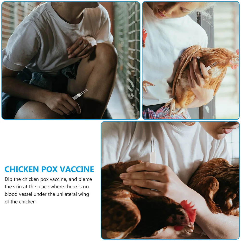 

9Pcs Fowl Pox Inoculation Needles for Chickens Easy to Operate and Control Home Poultry Health Protection Poultry Needles