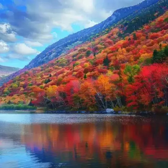 

CS Sub C 4/5SC 1.2V 2800mAh NI-Mh Rechargeable Battery With Tab For Screwdriver Electric Drill Flashlight Power Tools Batteria