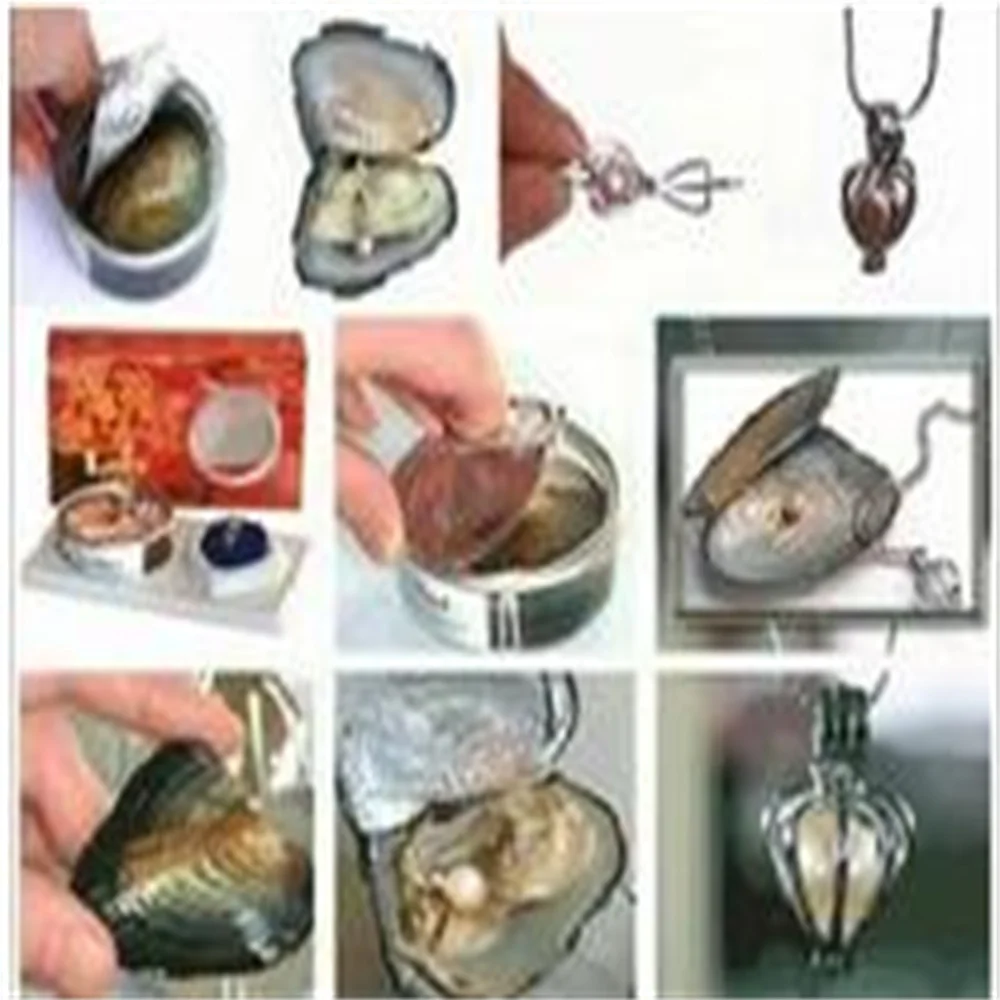 Juego de collar de perlas de deseo de amor, colgante de gota de ostra, venta al por mayor, 10 unidades