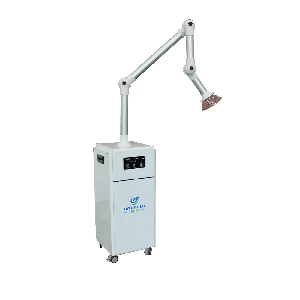 Denspay 1000W Mobil…