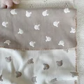 bear blanket
