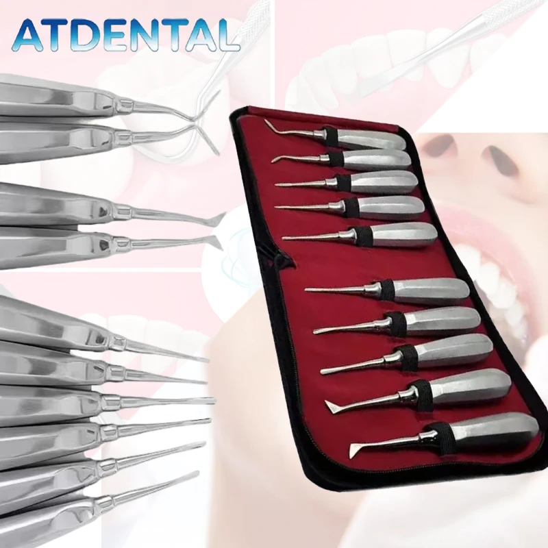 10pcs Stainless Steel Lift Set Dental Minimally Invasive Tooth Extraction Dentist Tool