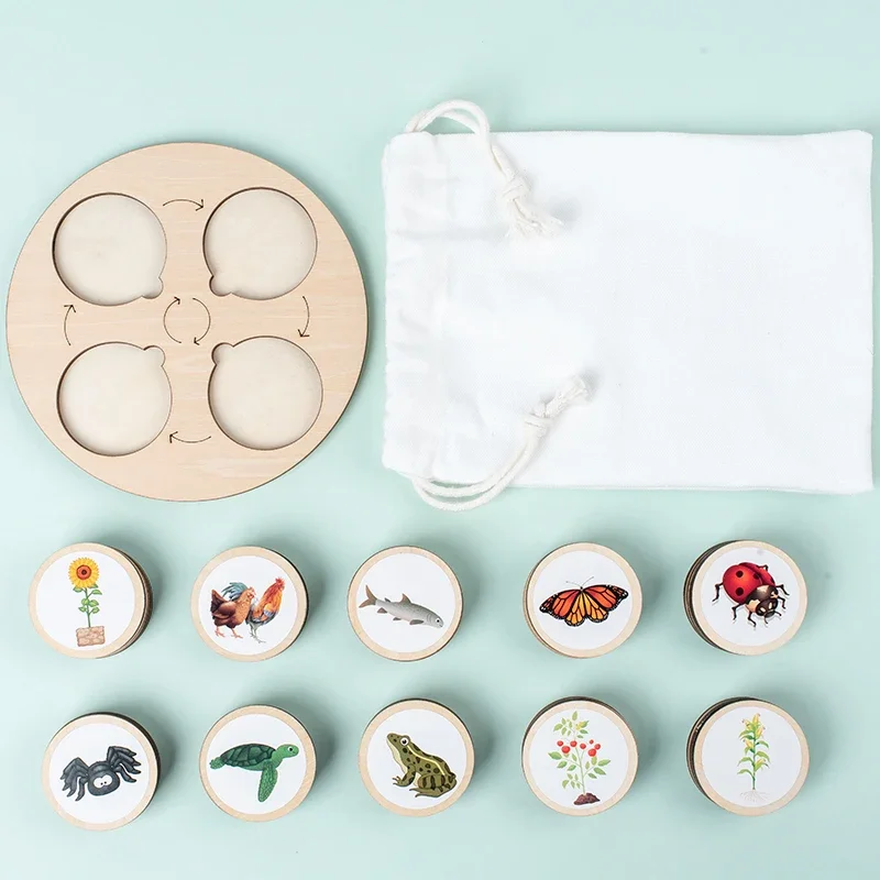 Kit de planche de Cycle de vie Montessori, éducation scientifique et biologique pour enfants, plateau sensoriel, tri de figurines d'animaux, cadeau de noël