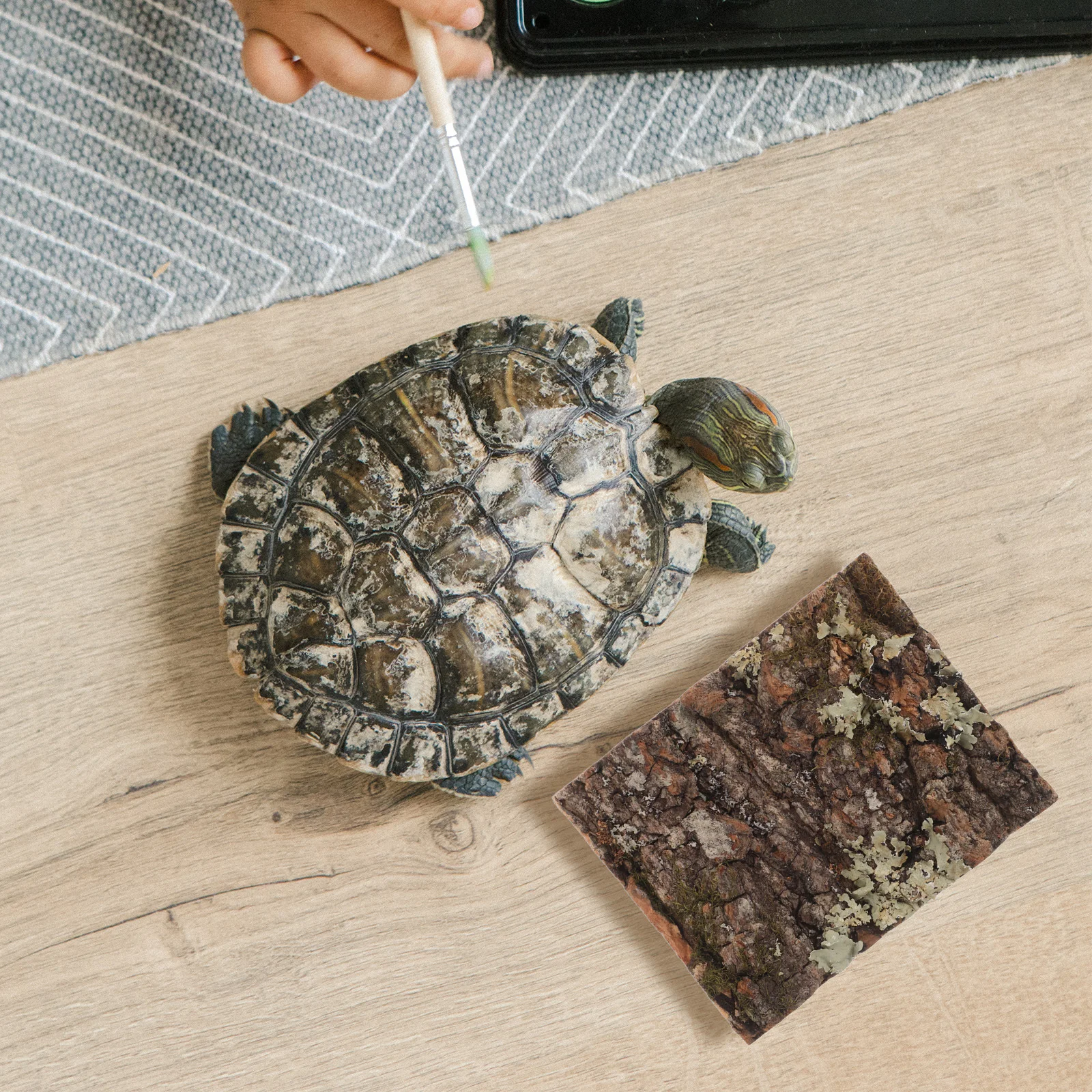 

Hue Cork Bark for Reptile Terrarium Decor Natural Tree Bark Background Snake Hideout Aquarium Plant Wall Safe Pet