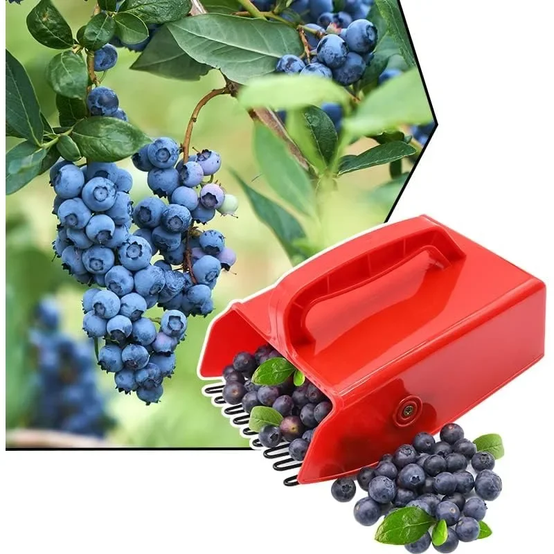 

Berry Picker Tool Plastic Rake Comb for Blueberries Lingonberries and Huckleberries Won't Damage Fruit or Plants Protects Hands