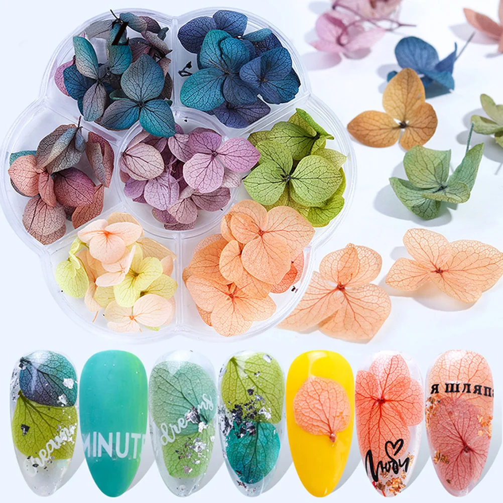 Kit de uñas de Gel, pinzas, hojas secas, flores, pegatinas para pulir