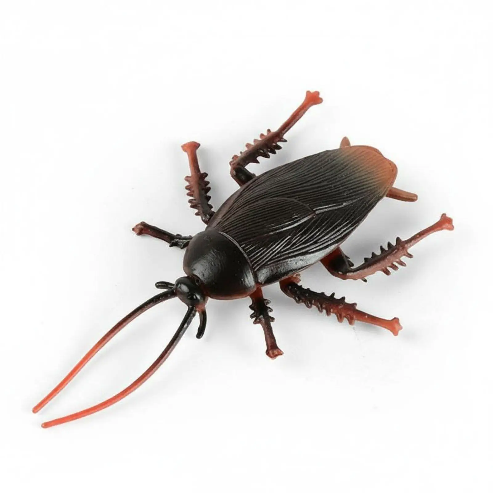 Figure Educational Toy Lifelike Animal Model Learning Toy for Teacher Student Science Display