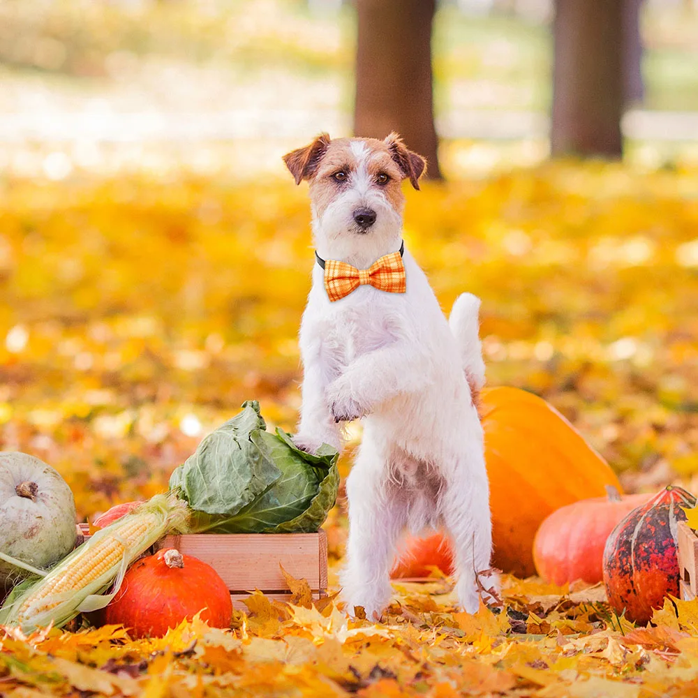 50PCS Thanksgiving Dog Bowties For Collars Removing Small Dog Cat Bow Ties Collar Accessoreis Autumn Dogs Grooming For Fall