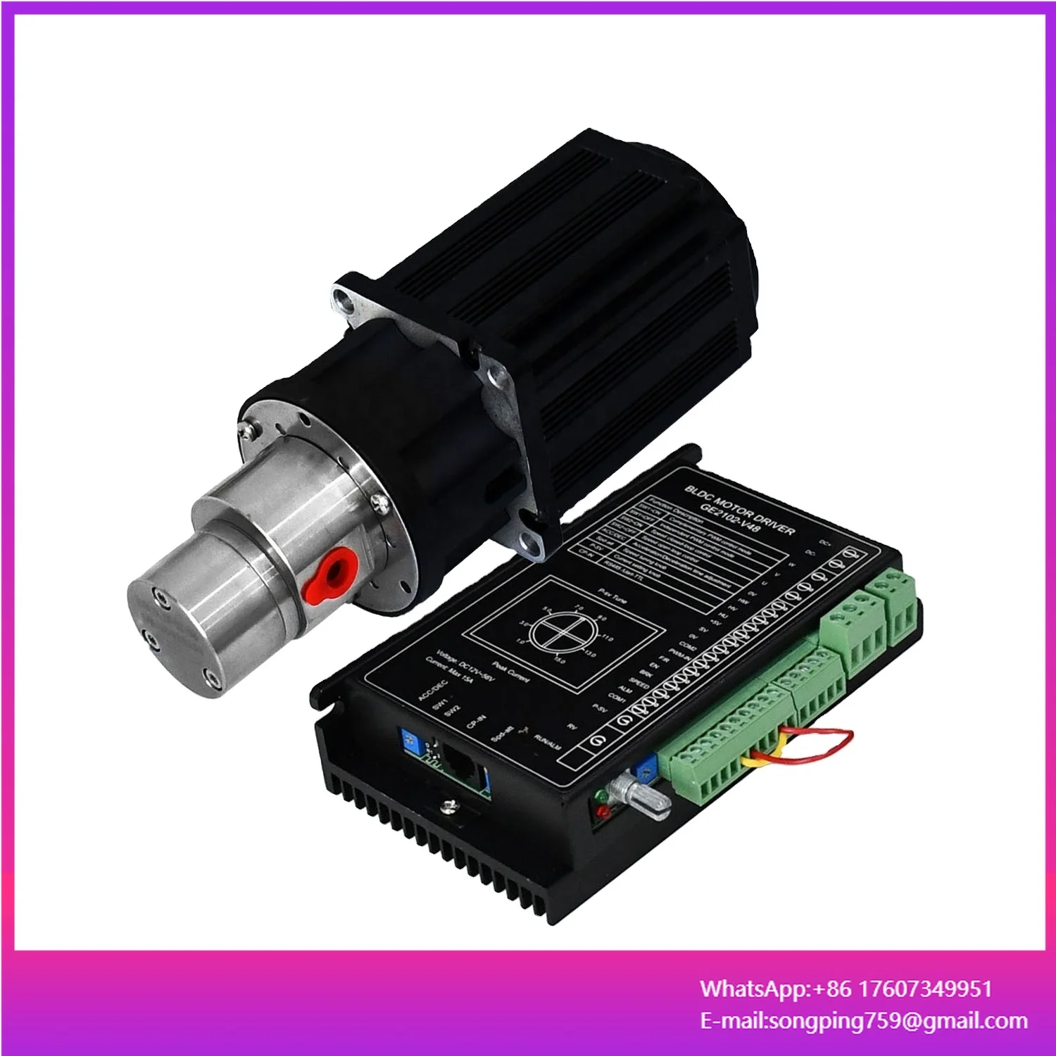 Special Pump for Reverse Osmosis Seawater Purification System Equipment