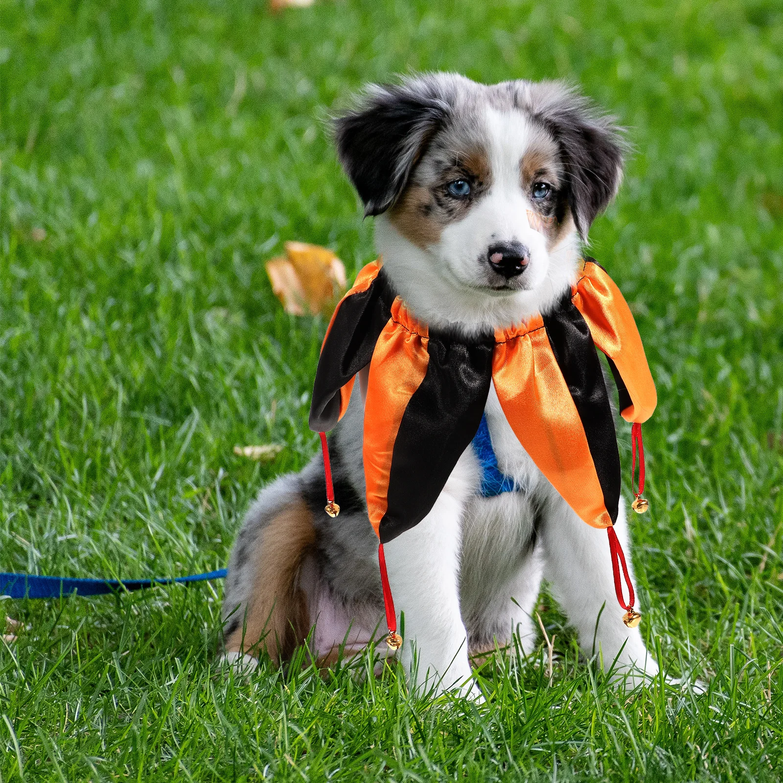 

Halloween Clown Pet 1PC Yellow Black S Dog Cat Necklace Party Accessory Reusable Puppy Collar Portable Kitten for Halloween