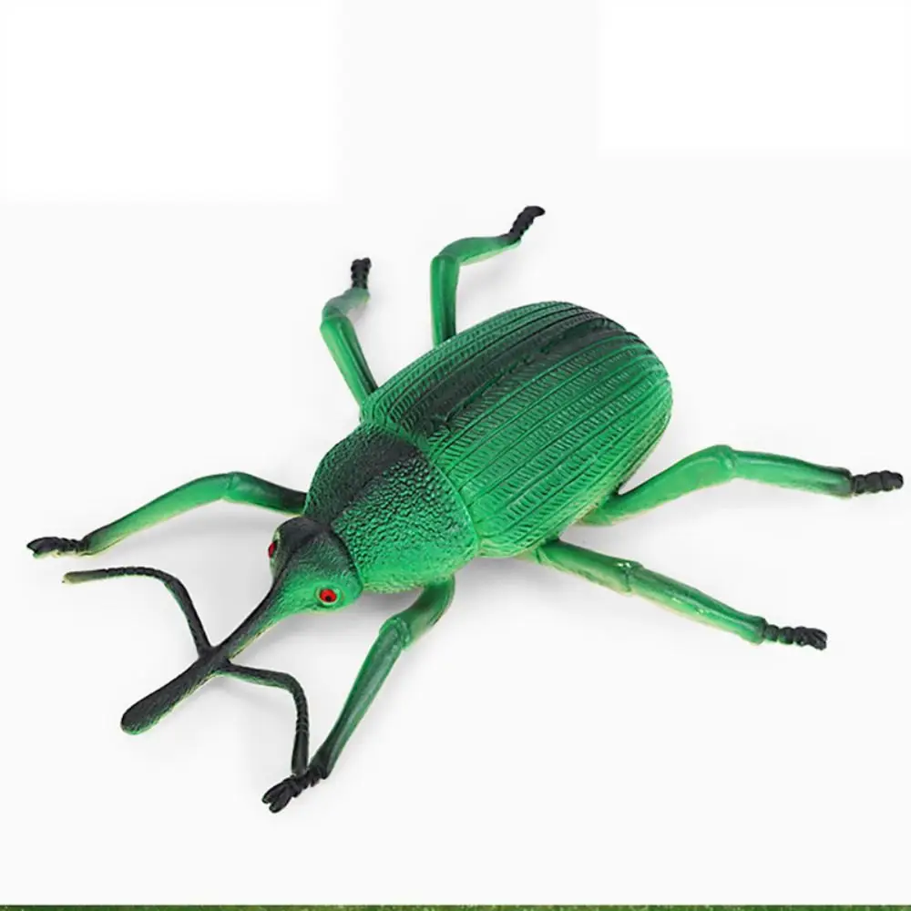 Arañas de juguete de ciencia, modelo de insecto simulado, simulación de Grillo, modelo de insecto de Vida Silvestre, PVC, regalos para niños