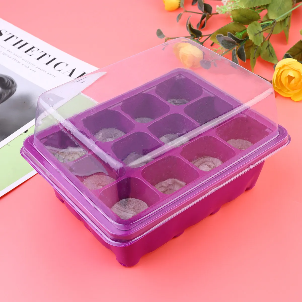 

12Sets Sprouter Tray Set for Beans Wheatgrass Mung Soy Peanut Soil-Free Organic Sprouting Kit Salad Sandwich Soup