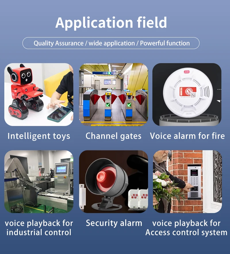 5W power voice MP3 playback control module one-on-one trigger TF memory card U disk custom audio T5WL