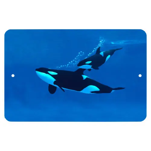 Orca / Killer Whale Metal Sign - Wall Decor - Aluminum Door Sign - Wall Metal