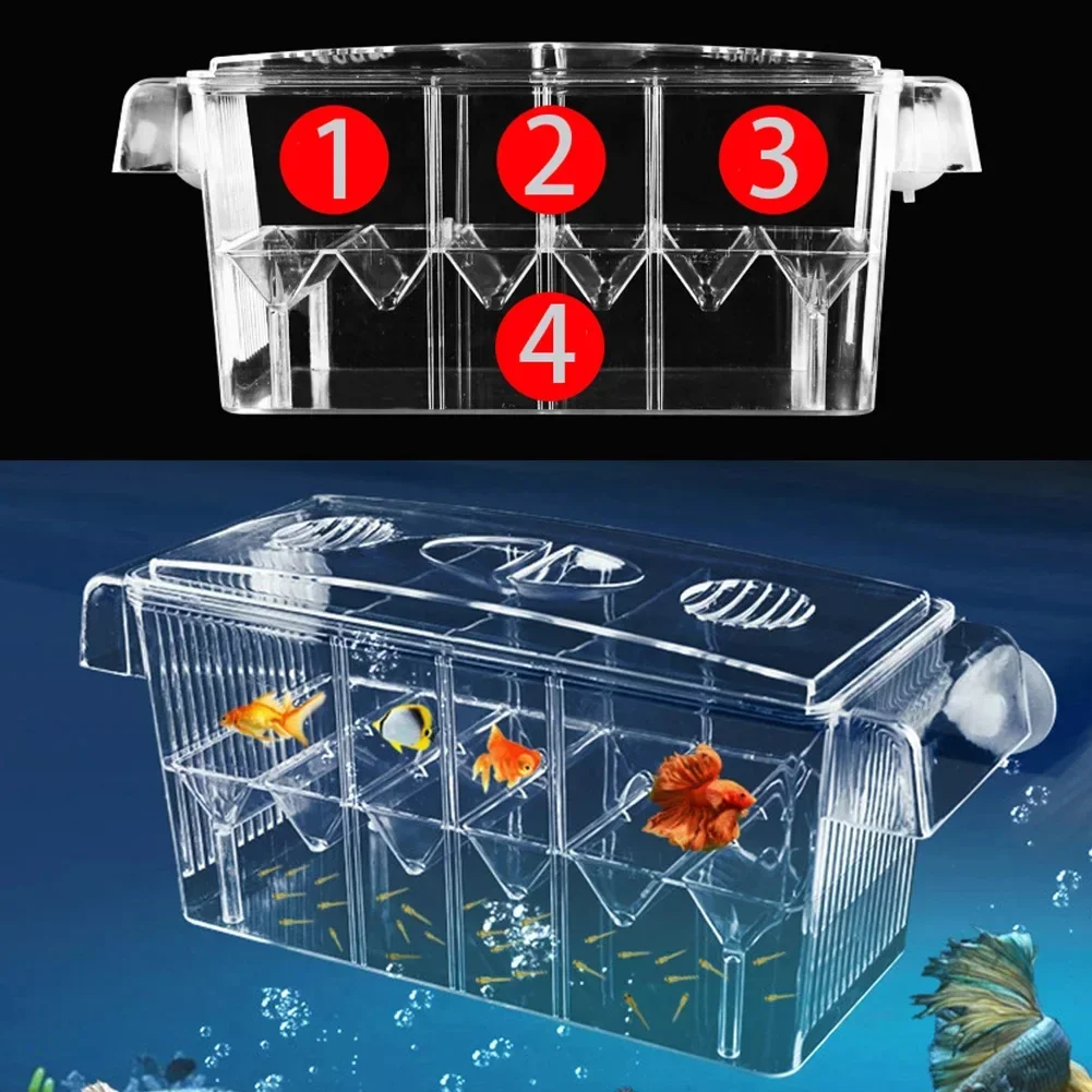 Fish Tank Breeding Incubator Isolation Box Double Layer 3 Chamber Transparent Acrylic Self-floating Fish Incubator Aquarium