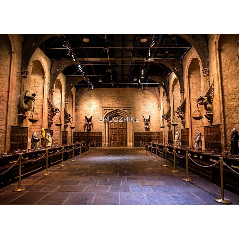 Classic Palace Liverpool Lady Chapel Empty Room Photography Backdrops Props Decoration Paintings Indoor Window Background TQ-07