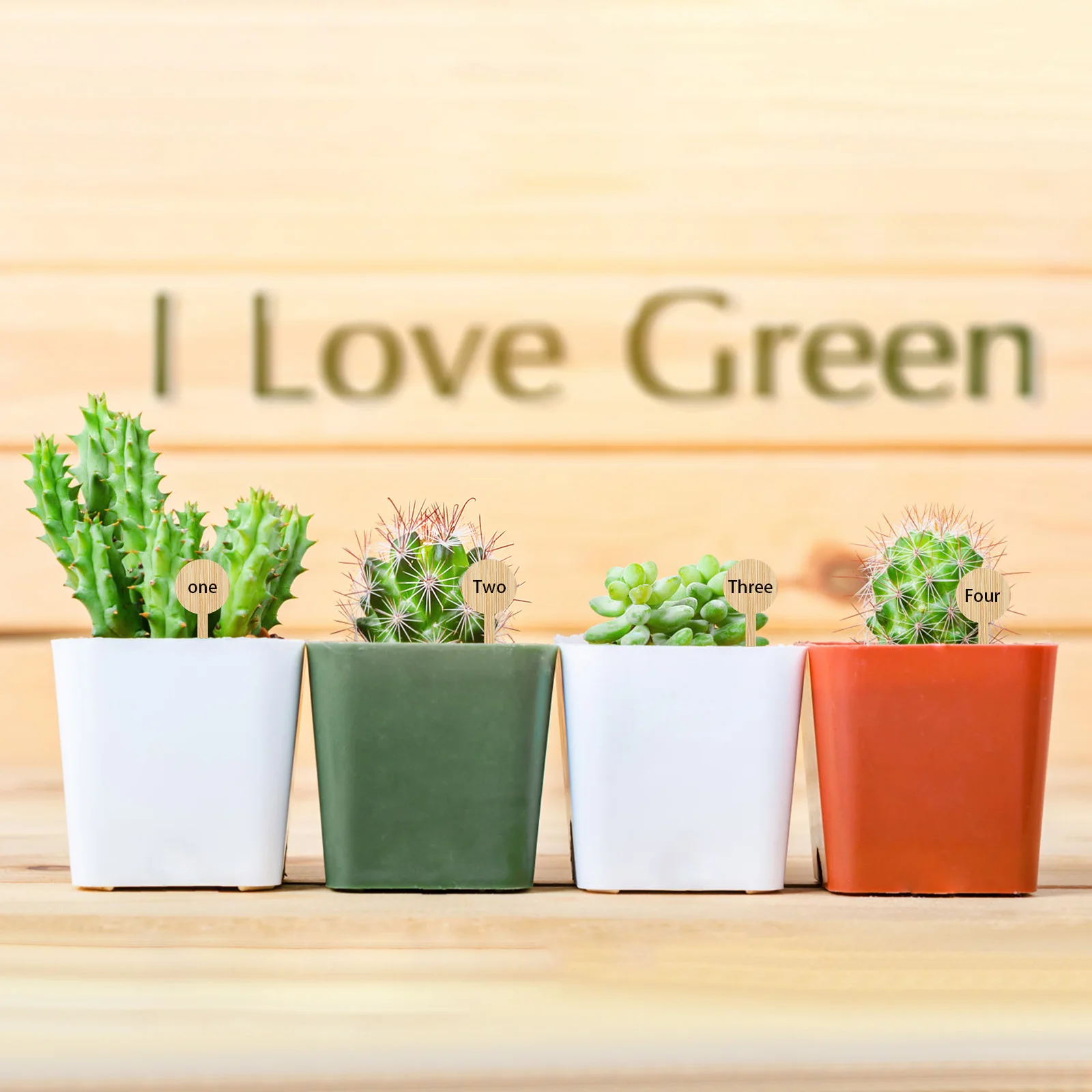 

20 Pcs Gardening Signs Realistic Brown Labels Plant Markers Easy Insert T Shape Bamboo Material Eco Friendly Seedling Tags