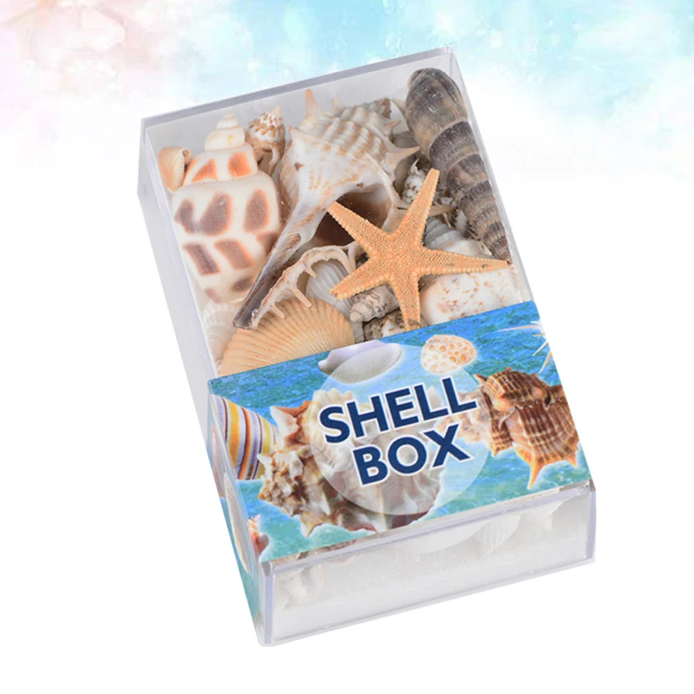 1 caja de espécimen de concha, adornos artesanales de concha grande Natural para decoración del hogar Diy, accesorios para pecera de conchas marinas de playa